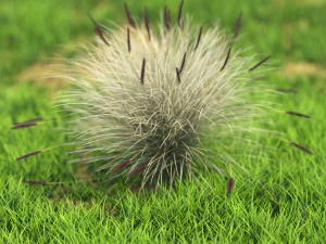 flor-x10-81to90 Modelo 3D