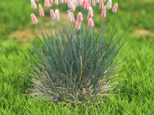 flower-x10-81to90 3D Model