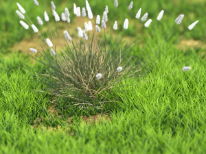 flower-x10-81to90 3D Model