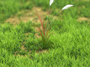 flower-x10-81to90 3D Model