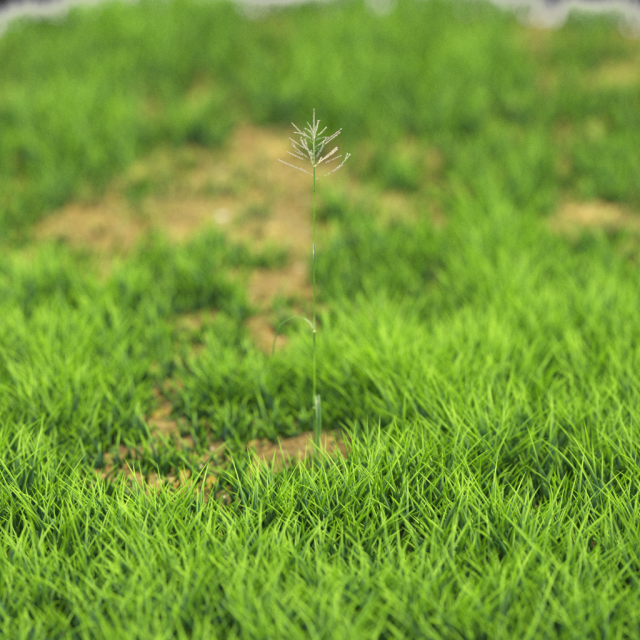 bush-x10-91to100 3D Модель .c4d .max .obj .3ds .fbx .stl .blend 