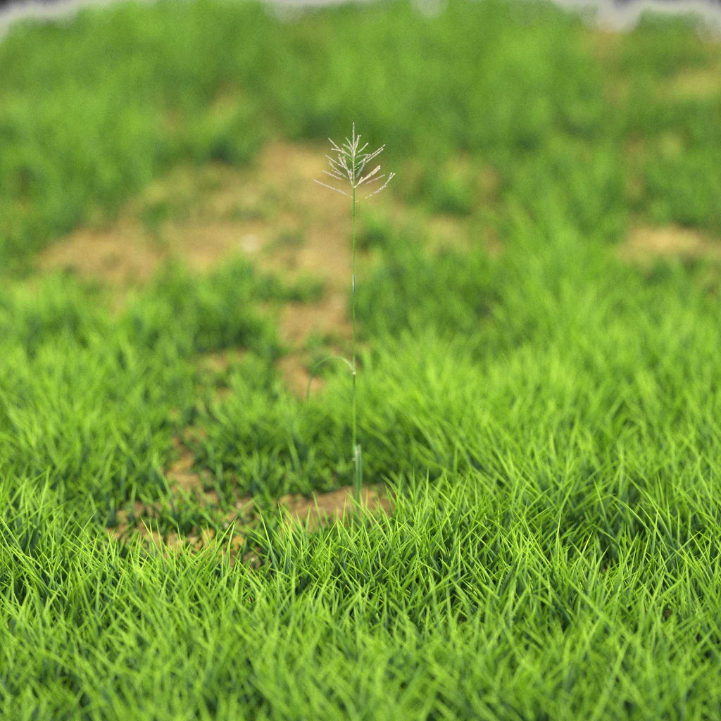 bush-x10-91to100 3D Model .c4d .max .obj .3ds .fbx .stl .blend 