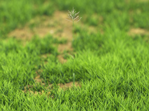 bush-x10-91to100 3D Model