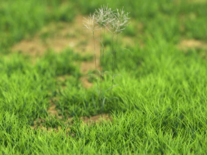 bush-x10-91to100 3D Model