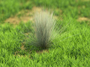 bush-x10-91to100 3D Model