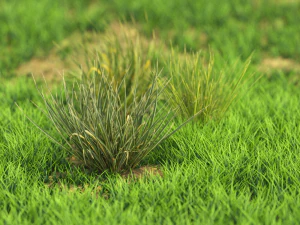 bush-x10-91to100 3D Model