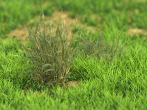 bush-x10-91to100 3D Model