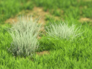 bush-x10-91to100 3D Model