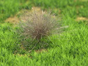 bush-x10-101to110 3Dモデル