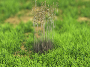 bush-x10-101to110 3Dモデル