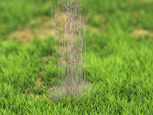 bush-x10-101to110 3Dモデル