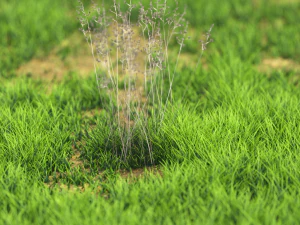 bush-x10-101to110 3D Model