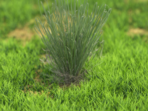 bush-x10-101to110 3Dモデル