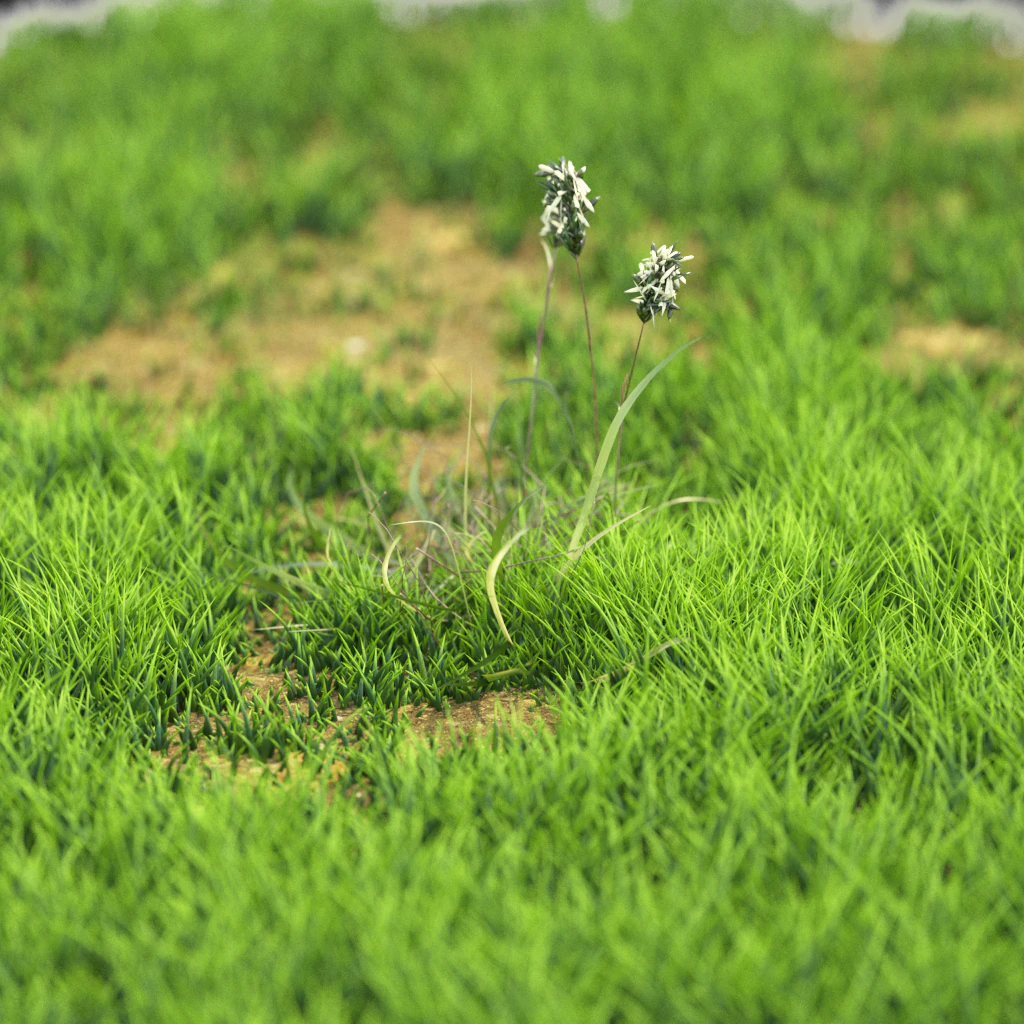 bush-x10-111to121 3D Model .c4d .max .obj .3ds .fbx .stl .blend 