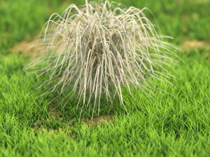 bush-x10-111to121 3D Model