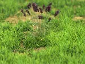 bush-x10-111to121 3D Model