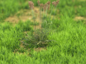 bush-x10-111to121 3D Model