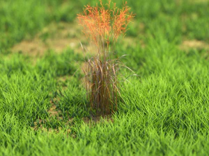 bush-x10-111to121 3D Model