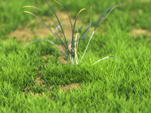 bush-x10-111to121 3D Model
