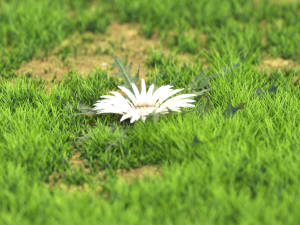 flower-x10-121to130 3Dモデル