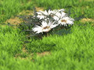 flower-x10-121to130 Modelo 3D