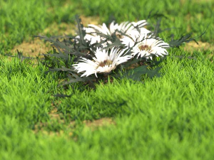 flor-x10-121to130 Modelo 3D