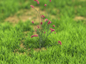 flower-x10-121to130 Modelo 3D