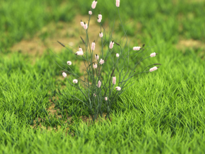 flower-x10-121to130 Modelo 3D
