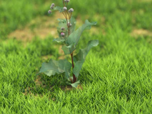 flor-x10-121to130 Modelo 3D