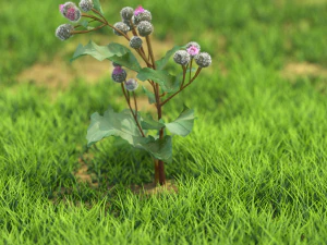 flor-x10-121to130 Modelo 3D