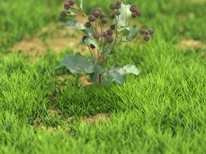 flor-x10-121to130 Modelo 3D