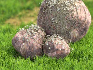 квітка-x10-131to140 3D Модель