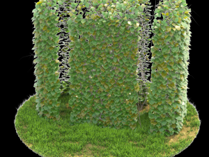 bush-x10-141to150 Modèle 3D