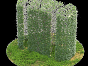 bush-x10-141to150 Modèle 3D