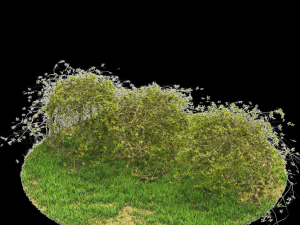 bush-x10-141to150 Modèle 3D