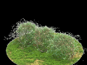 bush-x10-141to150 Modèle 3D