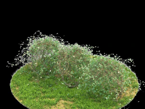bush-x10-141to150 3D Model