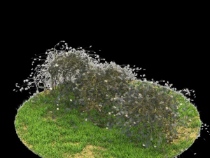 bush-x10-141to150 3D Model