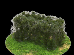 bush-x6-151to156 3D Model
