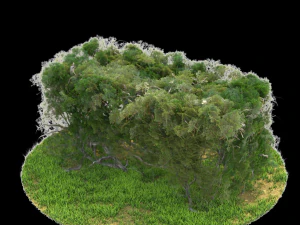 bush-x6-151to156 3D Model