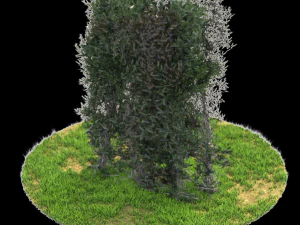 bush-x6-151to156 3D Model