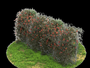 bush-x6-151to156 3D-Modell