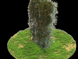 bush-x6-151to156 3D Model