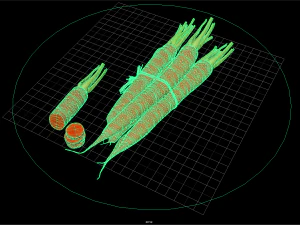 fruit and vegtebale 01 3D Model