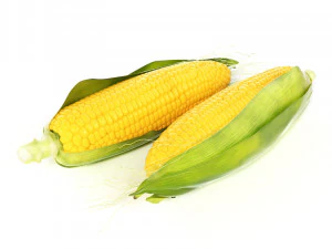 фрукти та овочі 2 3D Модель