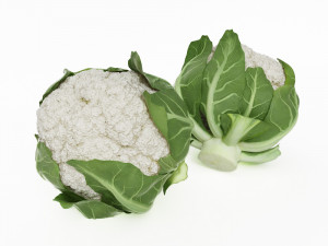 fruit and vegtebale 2 Modèle 3D