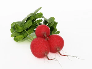 фрукти та овочі 2 3D Модель