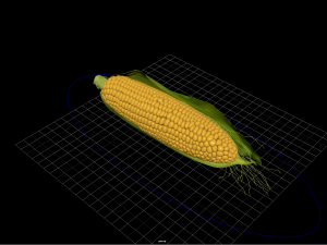 fruit and vegtebale 2 Modèle 3D
