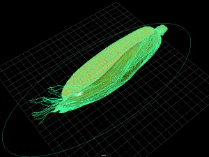 фрукти та овочі 2 3D Модель