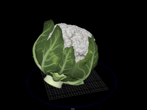 фрукти та овочі 2 3D Модель